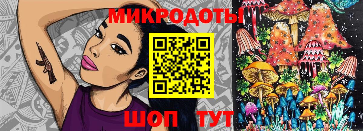 Галлюциногенные грибы Psilocybe Ханты-Мансийск